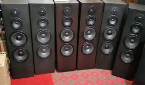 Loa cây bãi giá rẻ có nên mua hay không