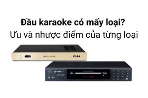 Phân loại đầu karaoke