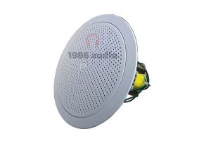 Loa âm trần DB TS301