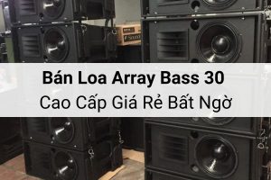 Bán loa array bass 30 cao cấp giá rẻ bất ngờ