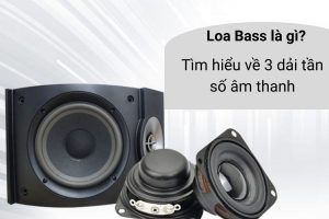 Loa bass là gì