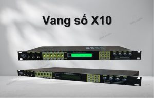 Vang số X10