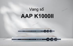 Vang số AAP K1000II