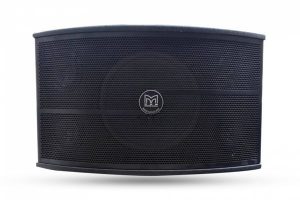 Loa Martin F9 Hàng Bãi