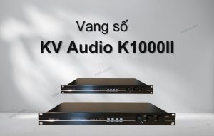 Vang số KV Audio K1000II