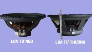 Phân biệt loa từ neo và loa từ thường