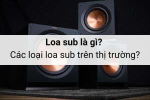 Loa sub là gì? Các loại loa sub hiện có trên thị trường