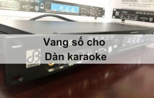 Vang số cho dàn karaoke