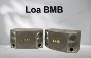 Loa BMB 850