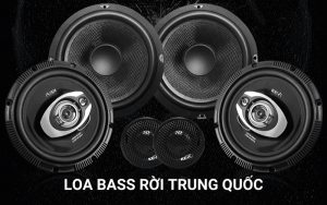 Loa bass rời Trung Quốc