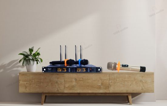 Bộ micro không dây chuyên nghiệp